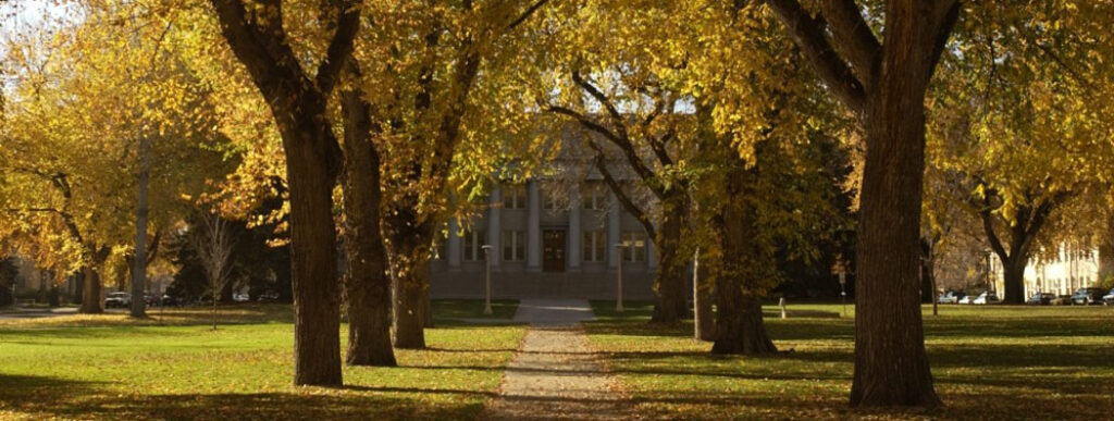 The Administration Building on the Colorado State Univesity Oval with fall leaves